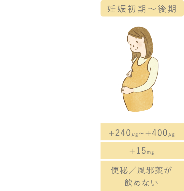 妊娠初期〜後期
