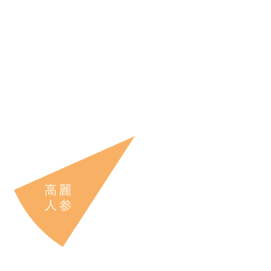 高麗人参