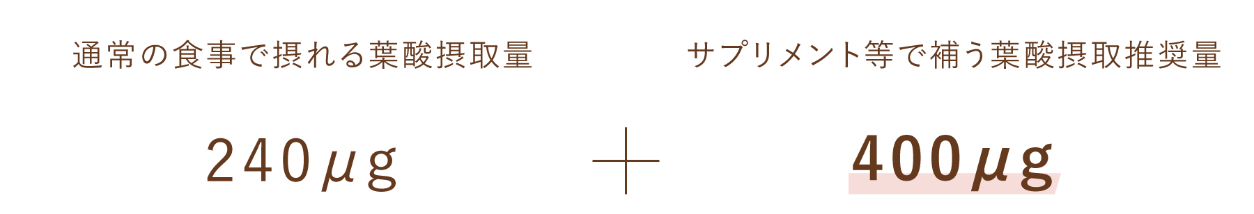 通常の食事で摂れる葉酸摂取量 240μg + サプリメント等で補う葉酸摂取推奨量 400μg