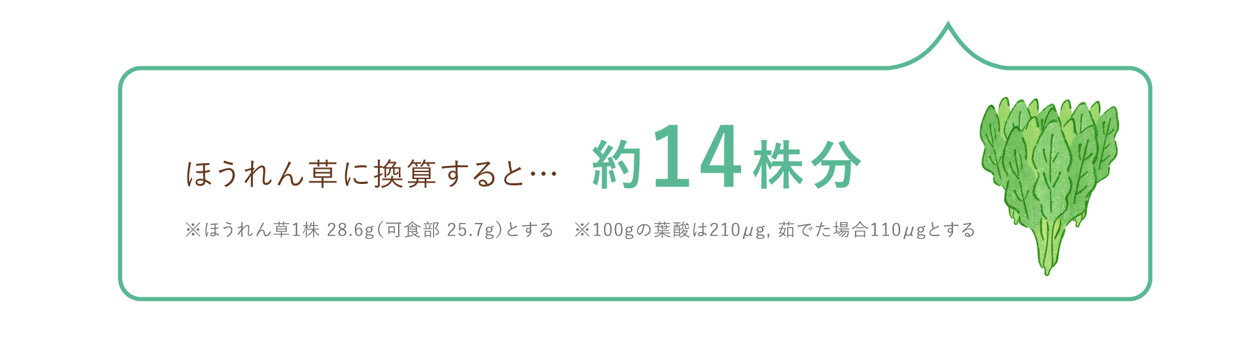ほうれん草に換算すると… 約14株分 ※ほうれん草1株 28.6g（可食部 25.7g）とする　※100gの葉酸は210μg, 茹でた場合110μgとする